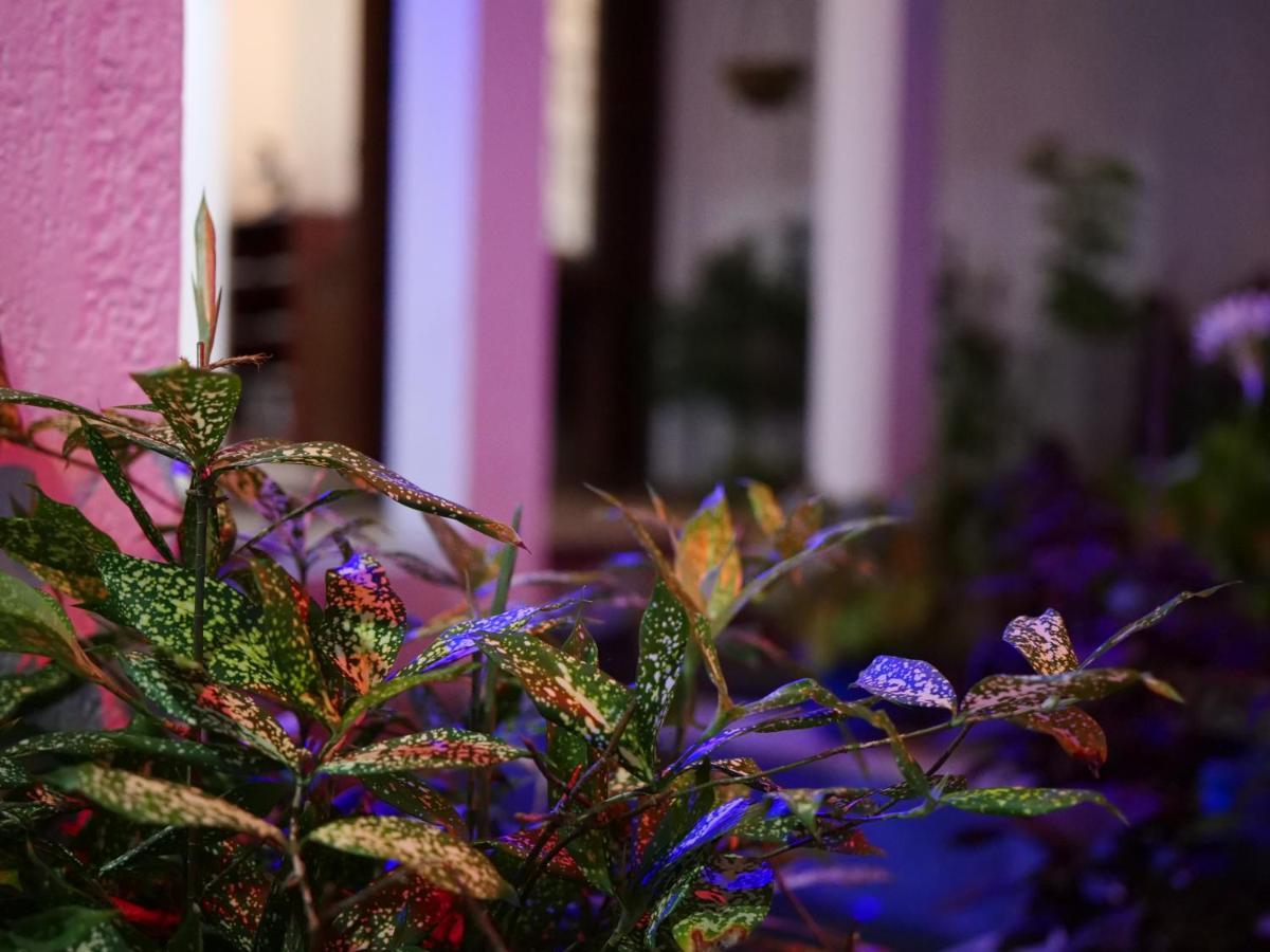 Elegance Oasis, Colombo 3 Ξενοδοχείο Εξωτερικό φωτογραφία